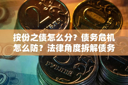 武汉按份之债怎么分？债务危机怎么防？法律角度拆解债务分配与风险自保指南