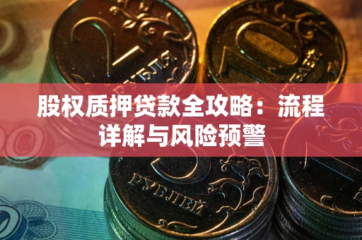 武汉股权质押贷款全攻略：流程详解与风险预警