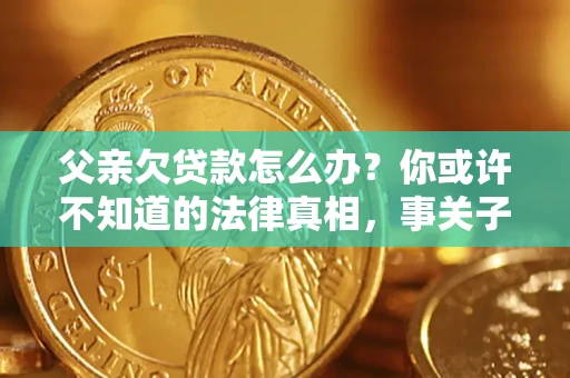 武汉父亲欠贷款怎么办？你或许不知道的法律真相，事关子女未来