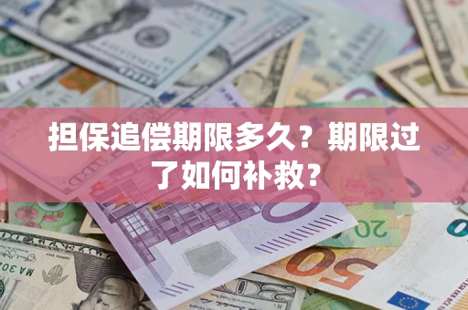 武汉担保追偿期限多久？期限过了如何补救？