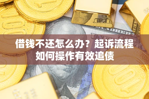 武汉借钱不还怎么办？起诉流程如何操作有效追债