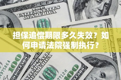 武汉担保追偿期限多久失效？如何申请法院强制执行？