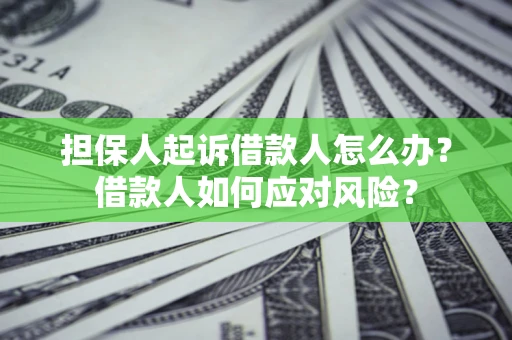 武汉担保人起诉借款人怎么办？借款人如何应对风险？