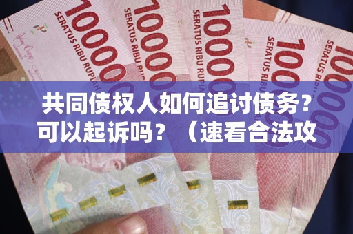 武汉共同债权人如何追讨债务？可以起诉吗？（速看合法攻略）