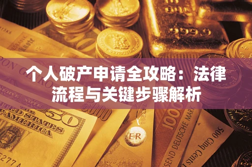 武汉个人破产申请全攻略：法律流程与关键步骤解析